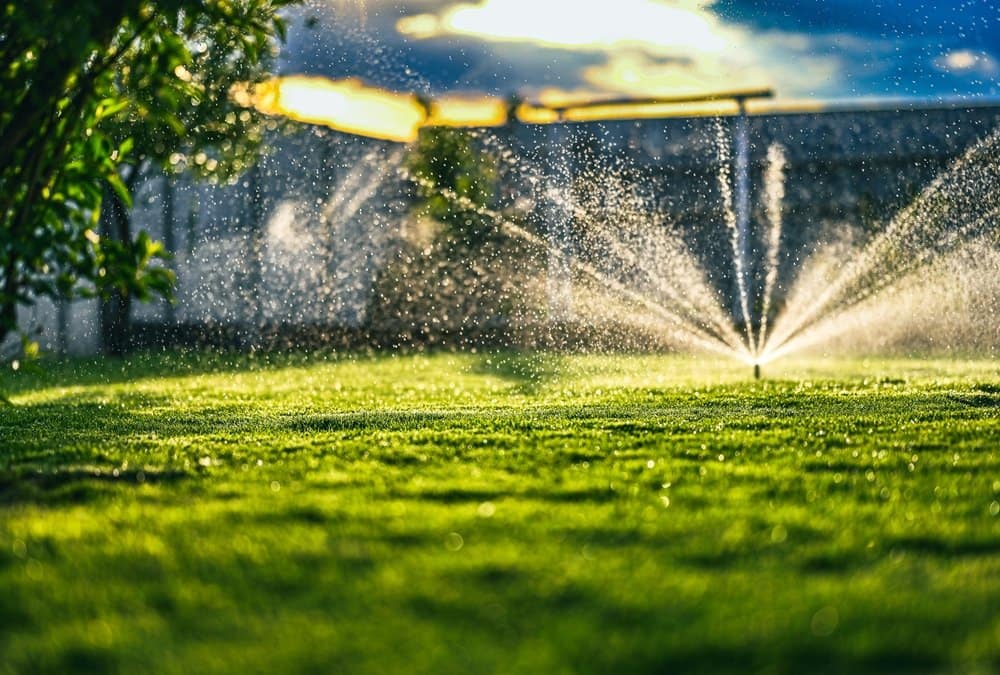 Professional Irrigation in North Port, Venice, Port Charlotte and Englewood