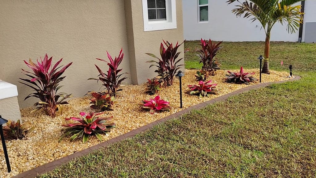 Professional Plant Installation in North Port, Venice, Port Charlotte and Englewood