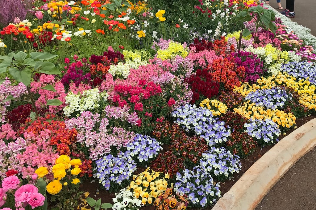 Professional Planting in North Port, Venice, Port Charlotte and Englewood