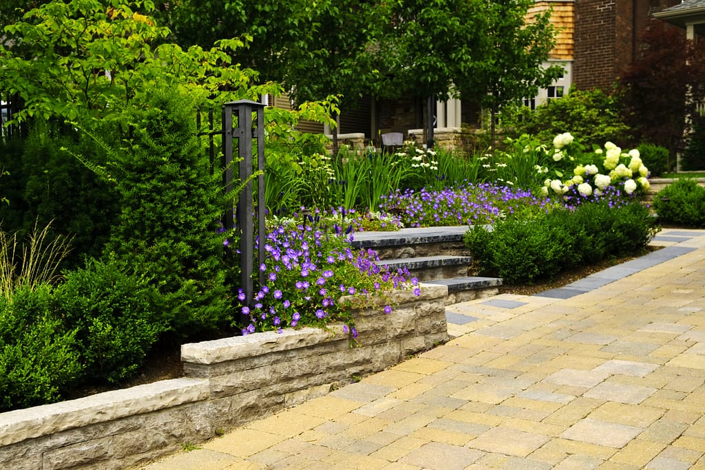 Professional Landscape Renovation in North Port, Venice, Port Charlotte and Englewood