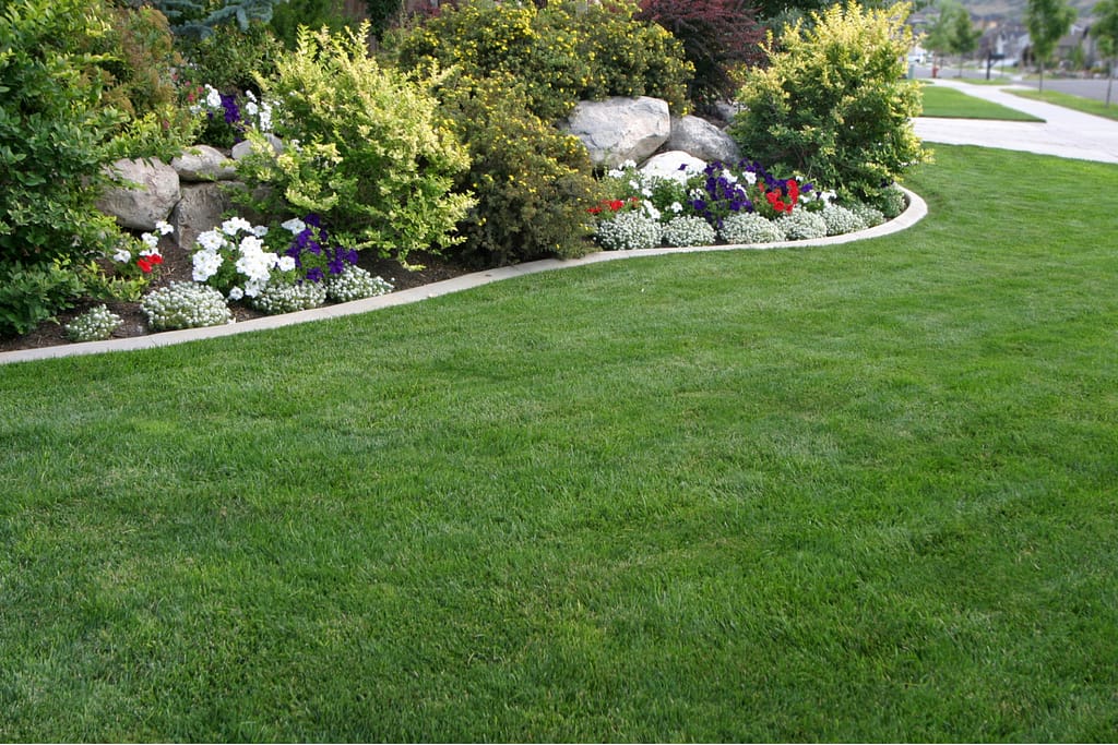 Professional Landscaping in North Port, Venice, Port Charlotte and Englewood