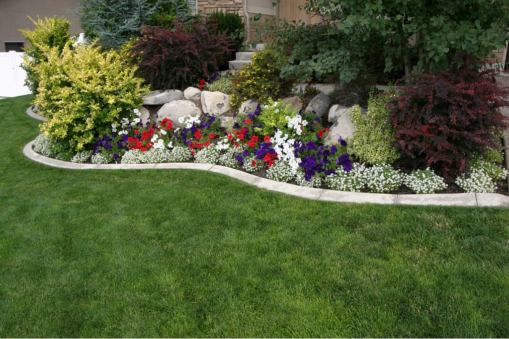 Professional Landscaping in North Port, Venice, Port Charlotte and Englewood