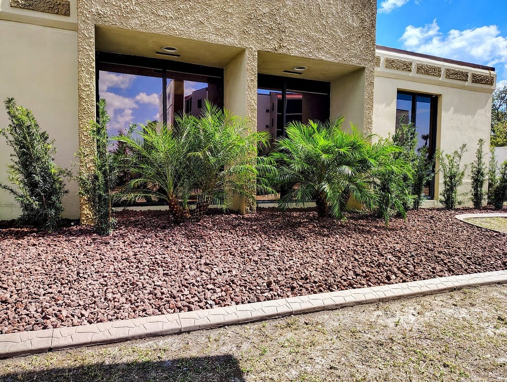 Professional Landscape Renovation in North Port, Venice, Port Charlotte and Englewood