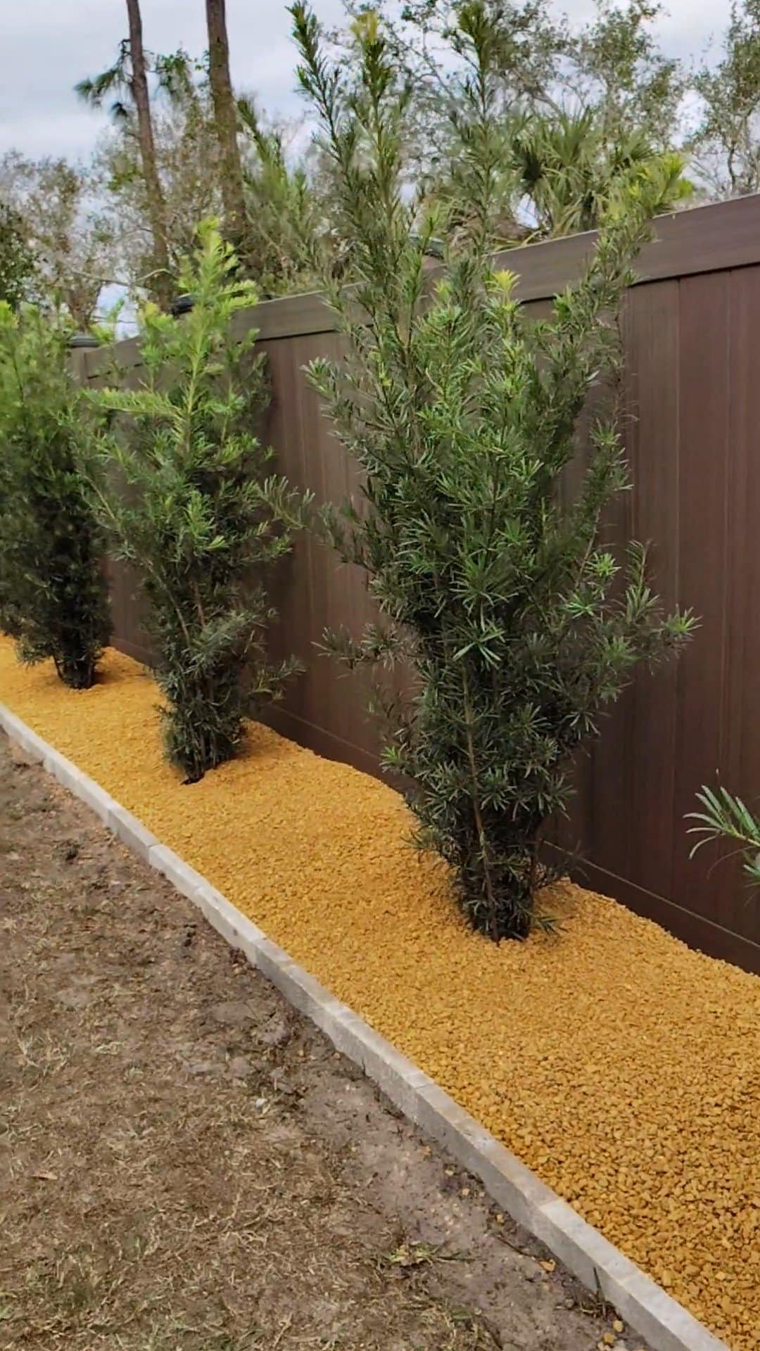 Professional Landscape Renovation in North Port, Venice, Port Charlotte and Englewood