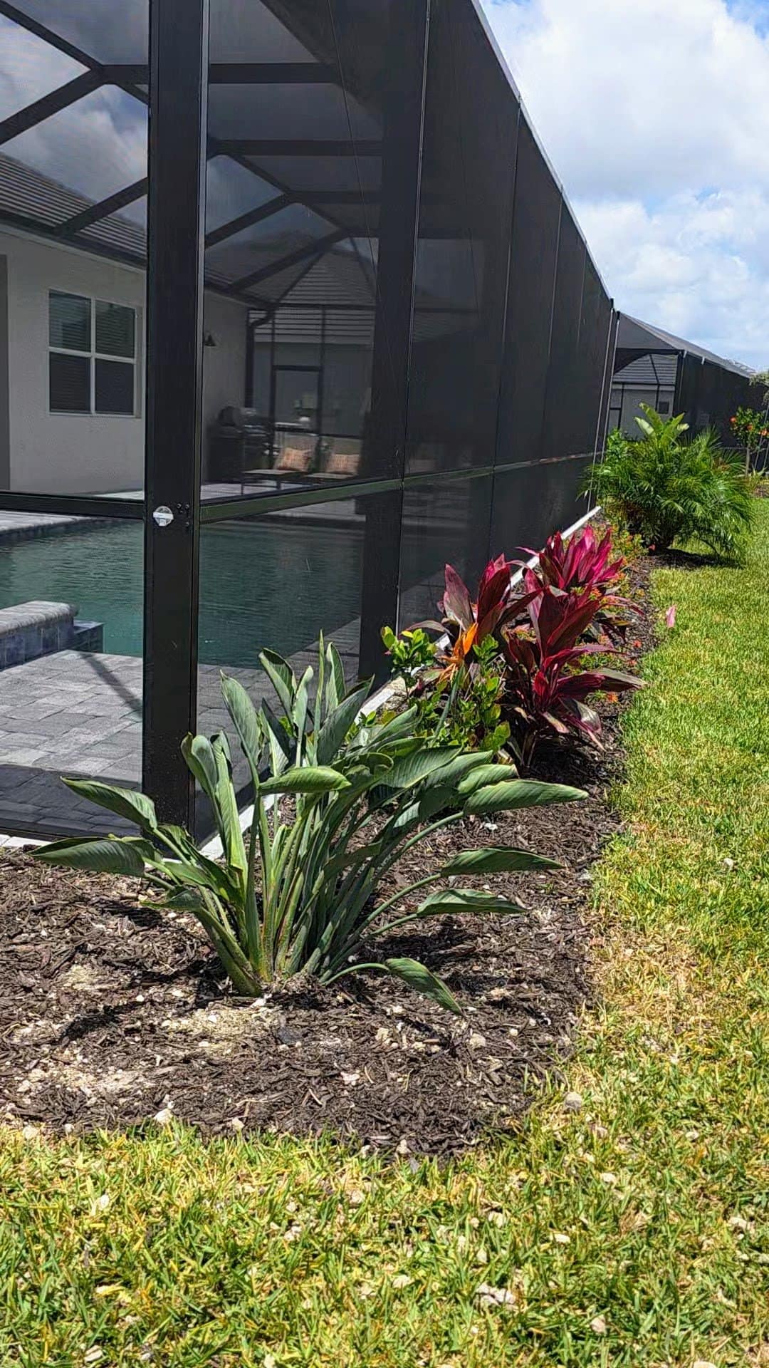 Professional Plant Installation in North Port, Venice, Port Charlotte and Englewood
