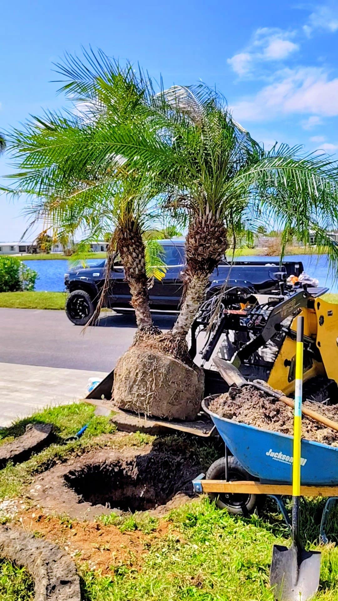 Professional Landscape Renovation in North Port, Venice, Port Charlotte and Englewood