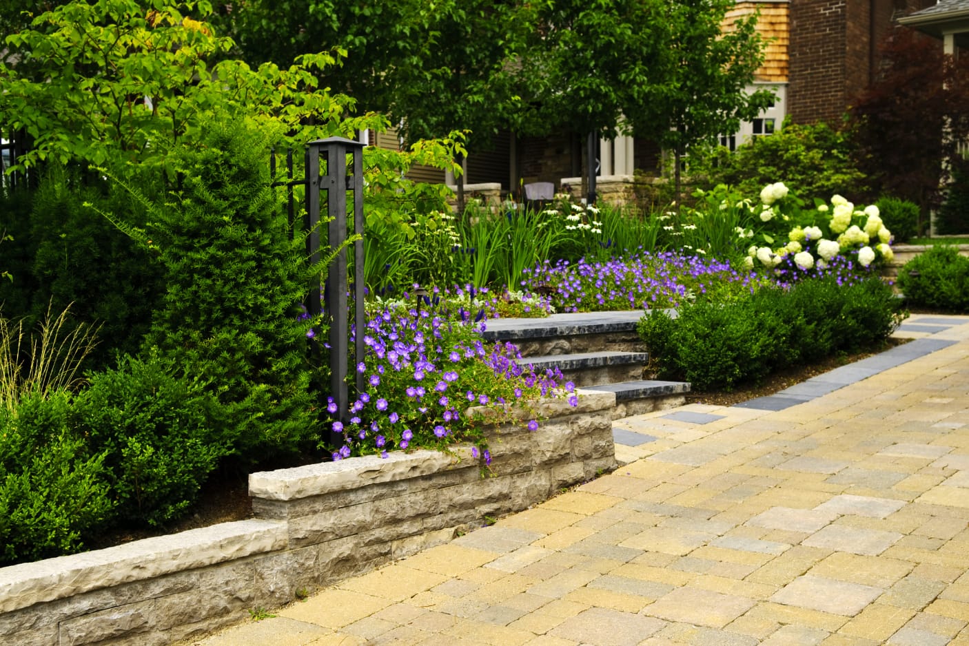 Professional Landscape Renovation in North Port, Venice, Port Charlotte and Englewood