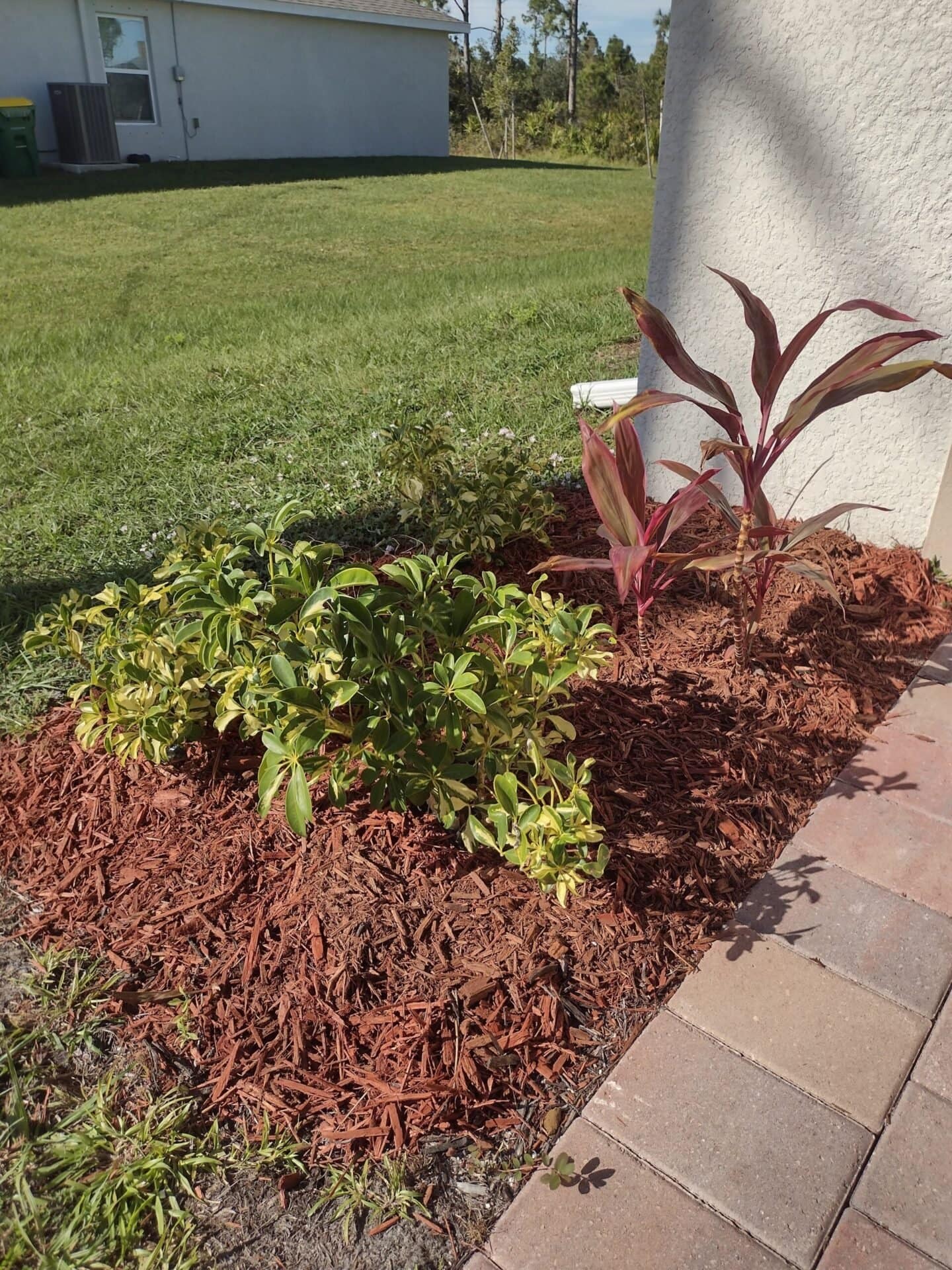 landscaping in port charlotte