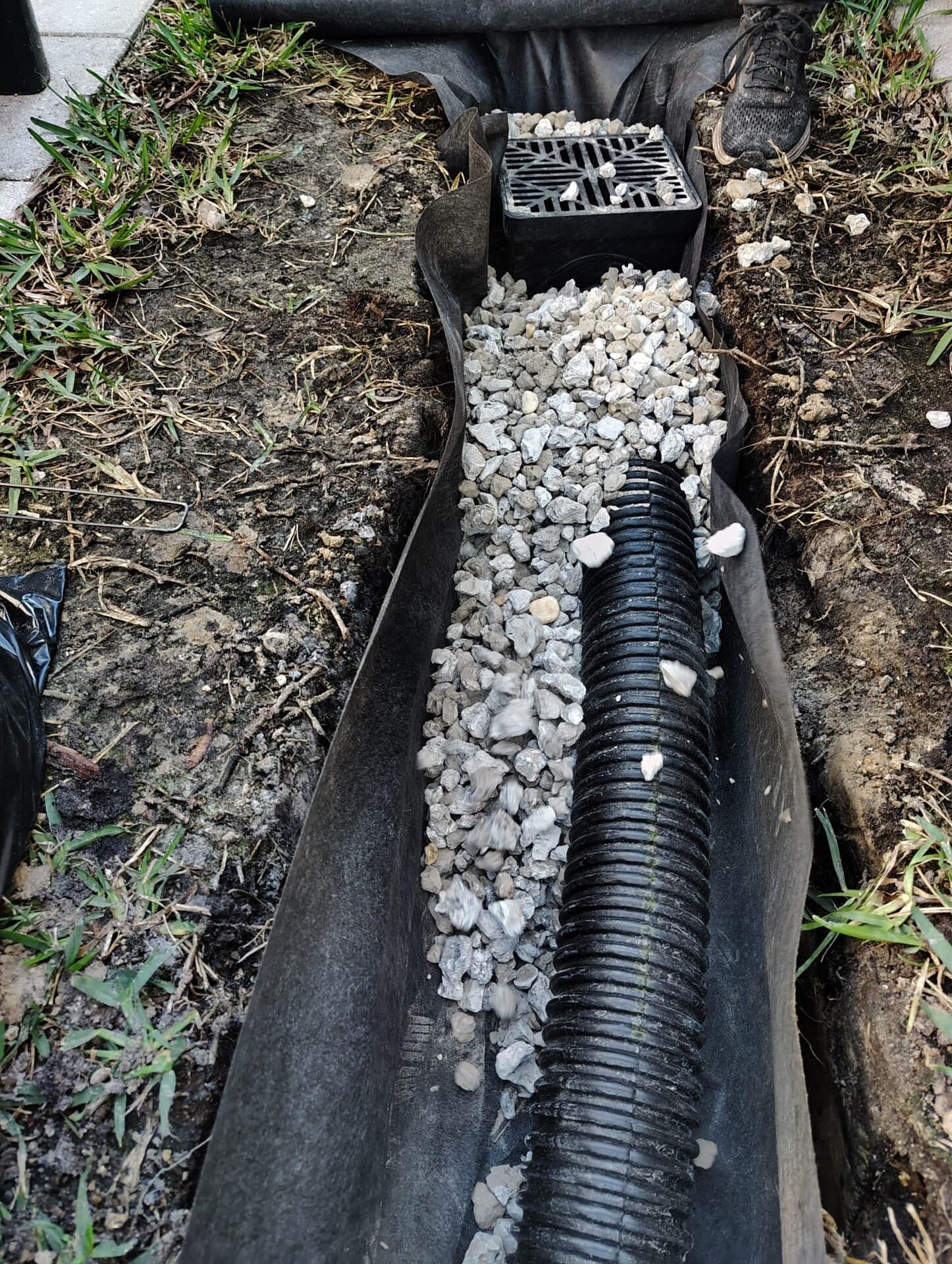 Professional Landscape Renovation in North Port, Venice, Port Charlotte and Englewood