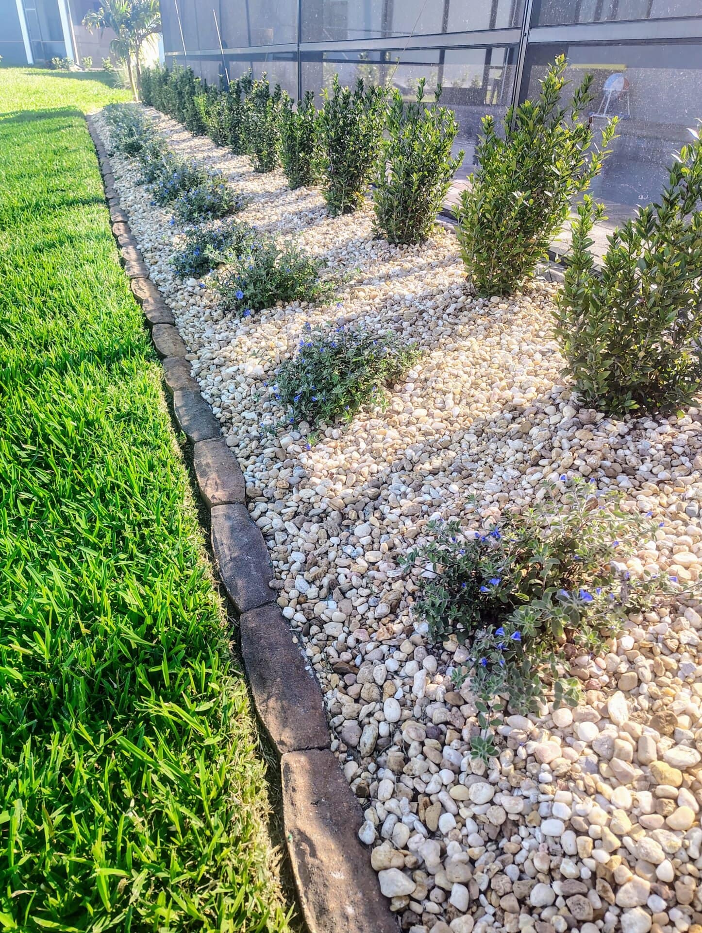 Professional Landscape Renovation in North Port, Venice, Port Charlotte and Englewood