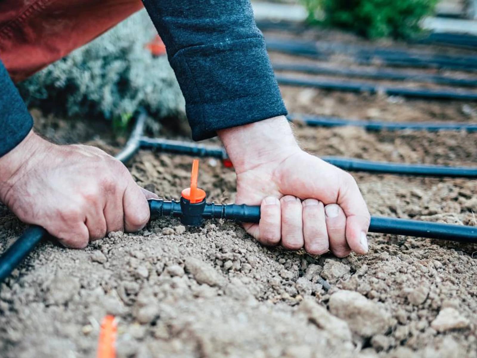 Professional Irrigation in North Port, Venice, Port Charlotte and Englewood