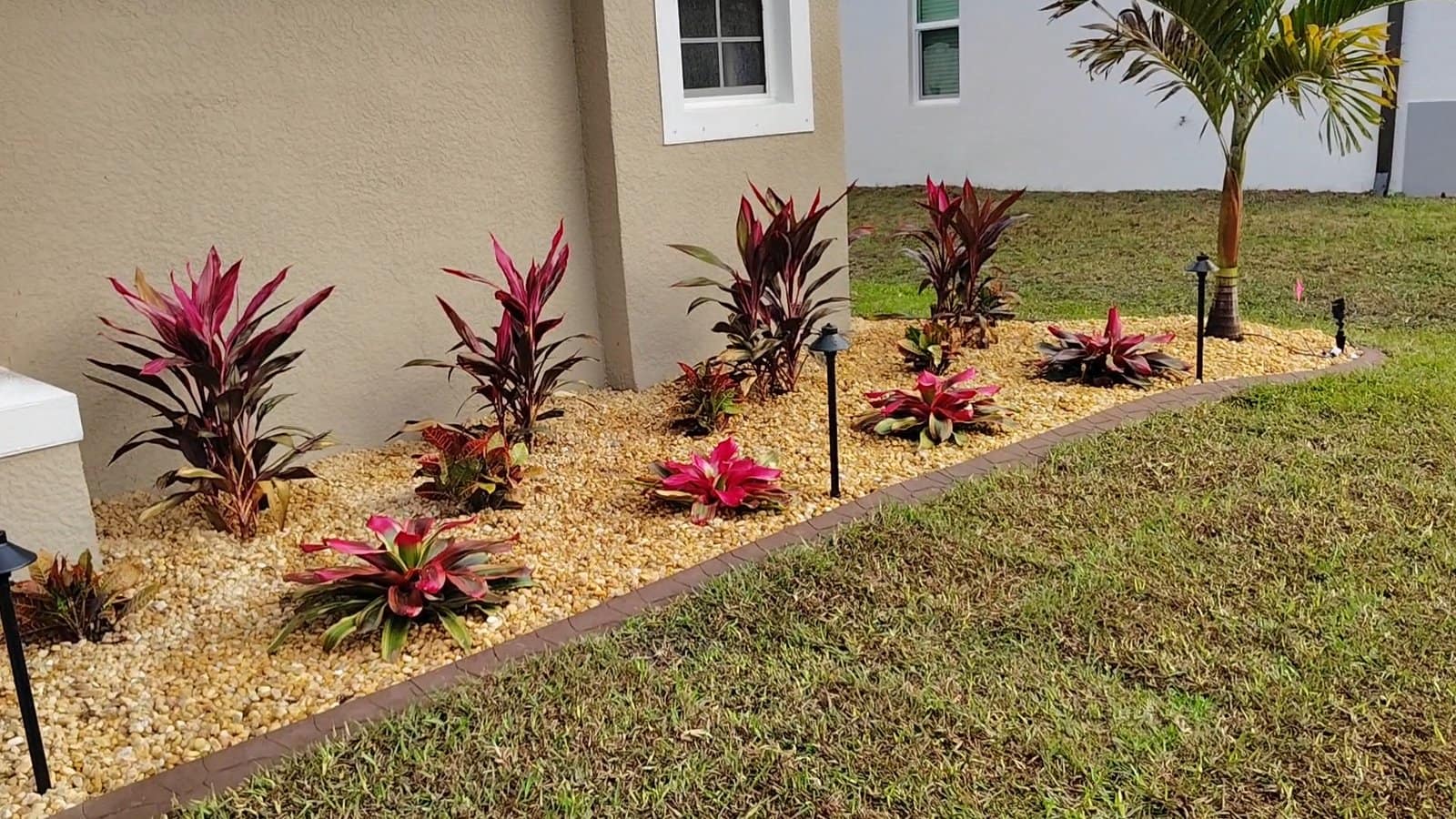 Professional Plant Installation in North Port, Venice, Port Charlotte and Englewood