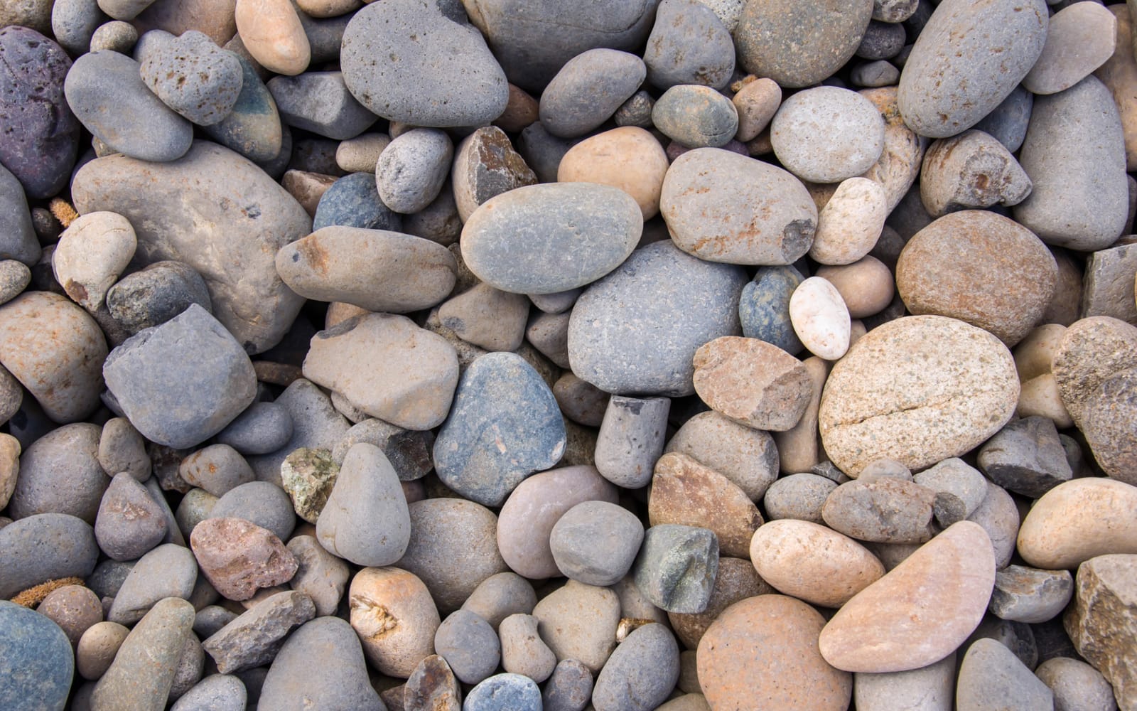 Professional Rock Installation in North Port, Venice, Port Charlotte and Englewood