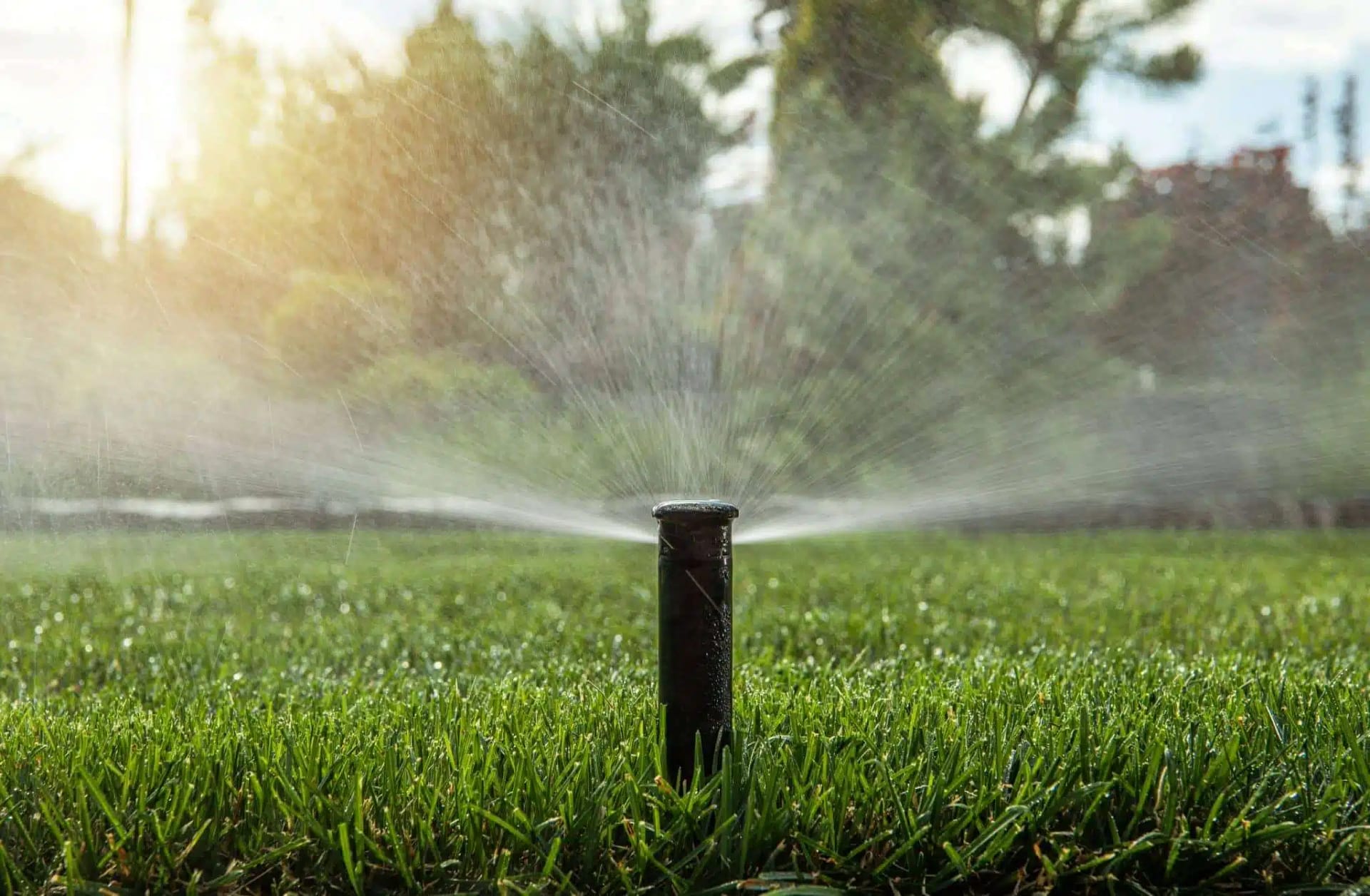 Professional Irrigation in North Port, Venice, Port Charlotte and Englewood