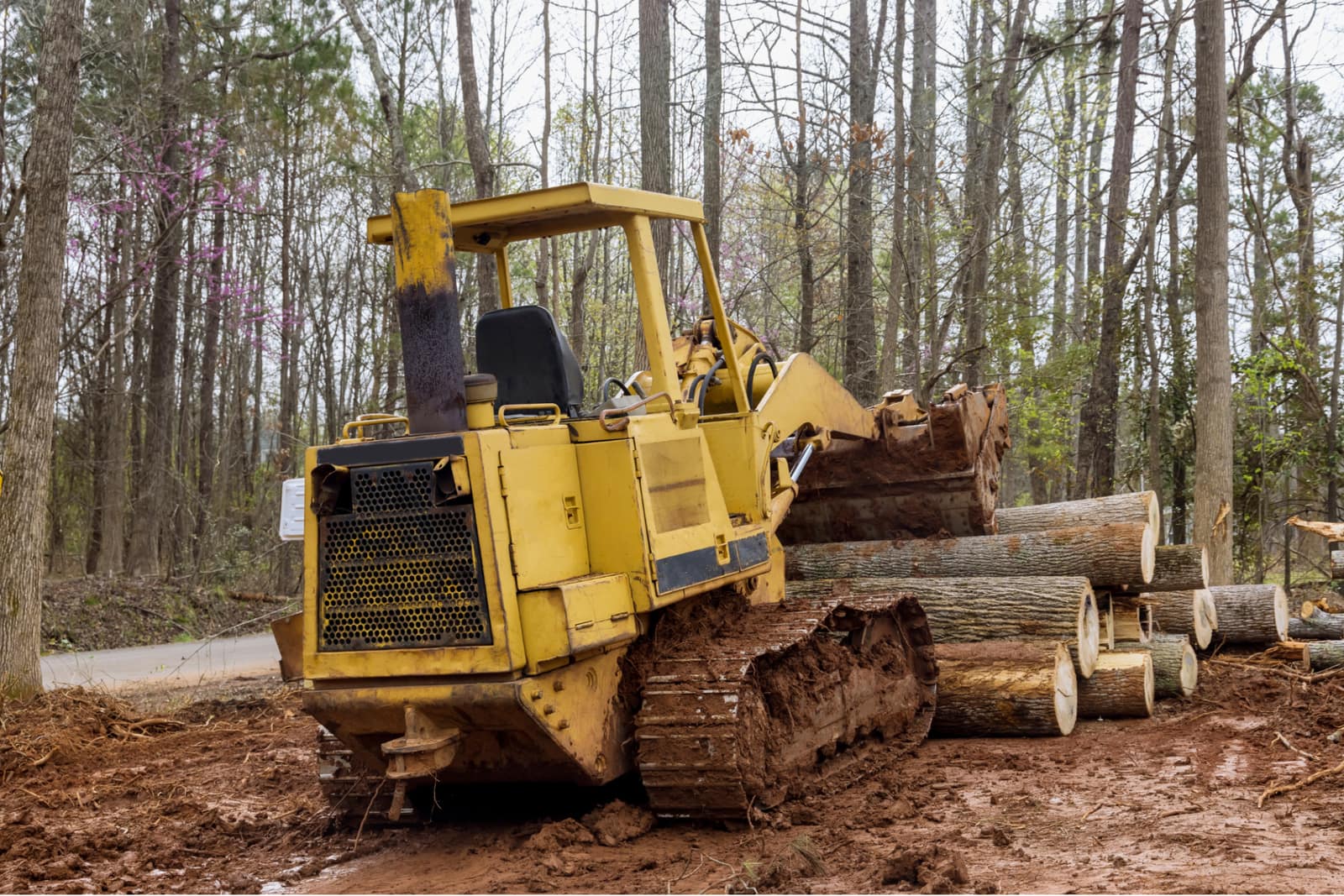 Professional Land Clearing in North Port, Venice, Port Charlotte and Englewood