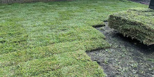 Professional Sod Installation in North Port, Venice, Port Charlotte and Englewood
