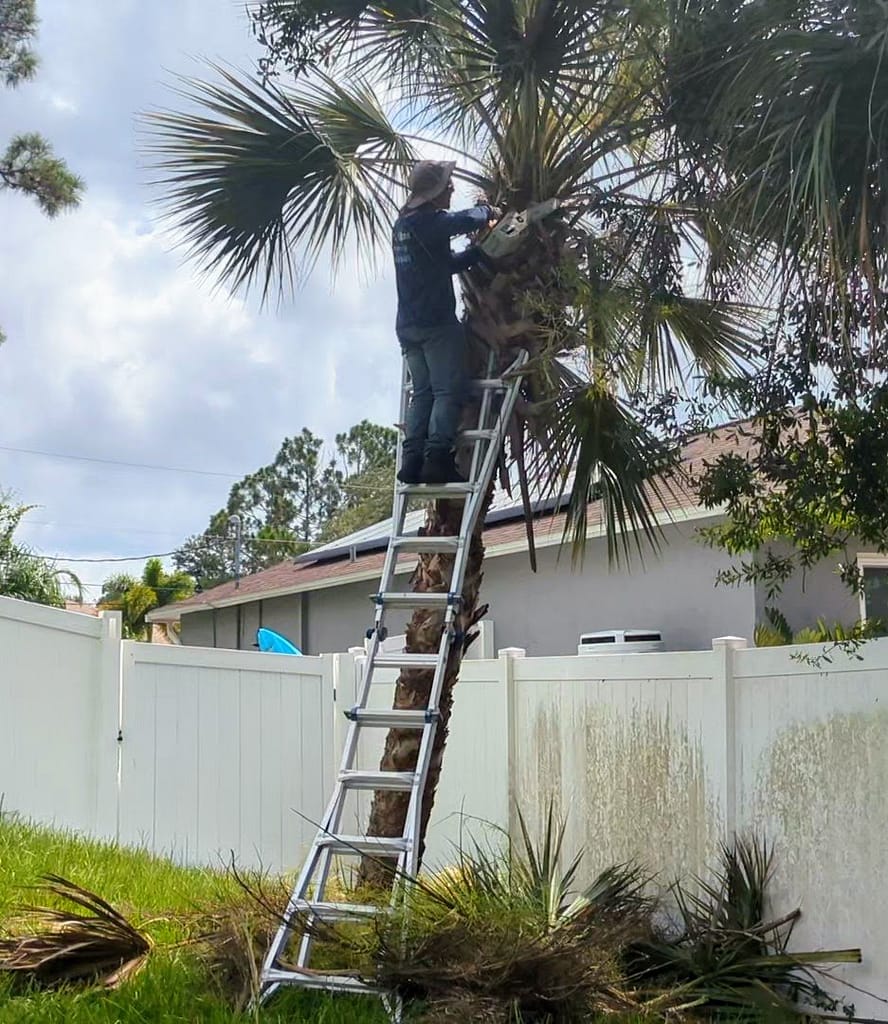 Professional Tree Work in North Port, Venice, Port Charlotte and Englewood
