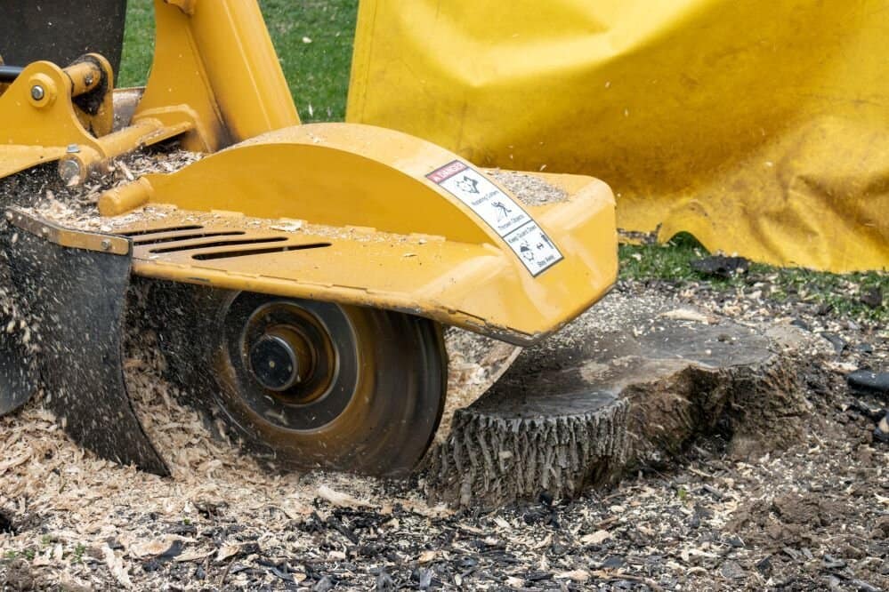 Professional Stump Grinding in North Port, Venice, Port Charlotte and Englewood